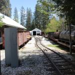 IMG_7587 (May 28, 2024)